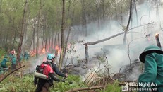 Hơn 3,5 ha rừng thông đang tuổi khai thác nhựa thuộc địa phận xã Công Thành (Yên Thành) bị cháy. Ảnh: Công Thành