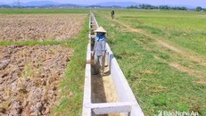 Đồng ruộng, kênh mương tại xã Nghi Văn (Nghi Lộc) bị khô hạn nặng nề do hầu hết các hồ đập đã cạn nước. Ảnh: Quang An