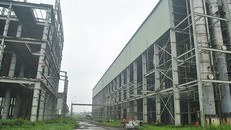 Bắt cựu Tổng giám đốc nhiên liệu sinh học dầu khí PVB