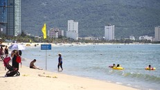 Biển Đà Nẵng an toàn, vậy nguyên nhân gây ngứa là gì?