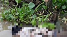Thi thể người đàn ông nổi trên sông. Ảnh: PLO.