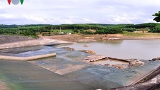 Công trình thủy lợi Nam Thạch Hãn bị hư hại nghiêm trọng.