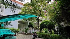 Nghi vấn ông chủ máy đào tiền ảo Sky Mining đóng cửa công ty bỏ trốn cùng gần 900 tỷ đồng khiến nhiều nhà đầu tư điêu đứng.