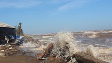 Sóng biển gây sạt lở trầm trọng bờ biển Cồn Bửng.