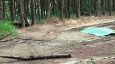 Phó hiệu trưởng tử vong: Hé lộ thư tuyệt mệnh