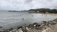 Khu vực biển Hòn La có hệ sinh thái đa dạng và nhạy cảm.