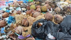 Lượng rác thải càng ngày càng lớn, khiến người dân vô cùng bức xúc