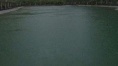 Vợ chồng trẻ cứu 2 cháu bé ngã xuống hồ, 4 người đều thiệt mạng