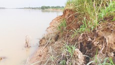 Đất sản xuất của người dân xã Thiệu Nguyên bị sạt lở. 