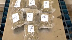 Số ma túy thu giữ được : Nguồn Báo Công an nhân dân