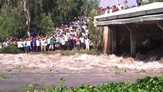 Tỉnh An Giang xả lũ đập Tha La. Ảnh: M.Anh.