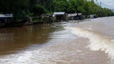 Dự kiến những ngày tiếp theo mực nước tại sông Cửu Long sẽ tăng nhanh