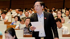 Đại biểu Quốc hội Nguyễn Trường Giang.