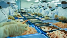 Có thể, từ năm 2021, tuổi nghỉ hưu của lao động sẽ tăng lên so với hiện hành