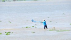 Lũ ở ĐBSCL dự kiến đạt đỉnh vào nửa đầu tháng 10.