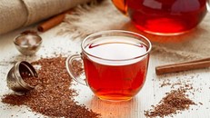 Trà đỏ và lợi ích chống ung thư, bệnh tim và đột quỵ