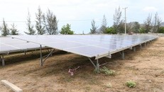 Khởi công xây dựng nhà máy điện Mặt Trời đầu tiên tại Bình Thuận