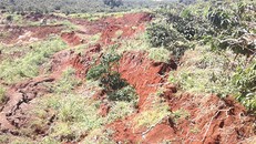 Hiện trường vụ sạt lở đất ở xã Đạ Đờn, huyện Lâm Hà tỉnh Lâm Đồng