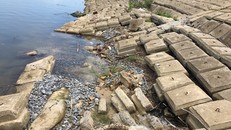 Đê Hữu Gianh xuống cấp nghiêm trọng