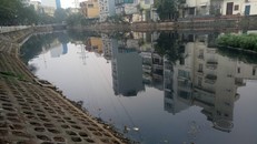 Đến bao giờ Hồ Trúc Bạch, quận Ba Đình, thành phố Hà Nội hết ô nhiễm ?