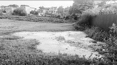 Nước thải từ một cơ sở sản xuất tại cụm 5, xã Tam Hiệp xả ra môi trường.