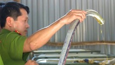 Hàng nghìn lít dầu thải được tái chế chuẩn bị đưa ra thị trường