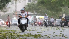 Dự báo trong tháng 10, miền Bắc sẽ đón 3, 4 đợt không khí lạnh