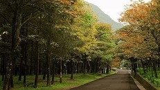 10 địa điểm vui chơi lãng mạn, trẻ trung ngày 20-10 quanh Hà Nội