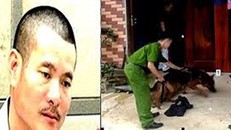 Cơ quan chức năng tiến hành khám nghiệm hiện trường nơi Hải giết vợ.