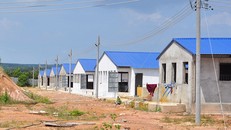 Trang trại có vốn đầu tư gần 20 tỷ đồng nhưng không phép