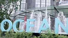 Tài sản của Hà Văn Thắm được bán, giá cổ phiếu của Ocean liên tục tăng giá 