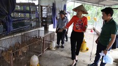 Chị Xoan đang chia sẻ thông tin với khách thăm quan khu trang trại 