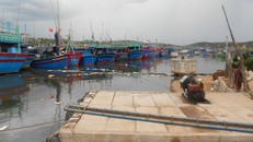 Khu vực cảng cá Tam Quan, mỗi ngày có cả trăm tàu thuyền neo đậu. Rác sinh hoạt, chất thải đều xả ngay tại chỗ