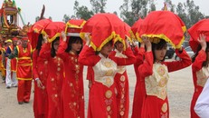 Chuẩn bị 18 vạn túi lương phát cho người dân tại Lễ hội Phát lương Đức Thánh Trần