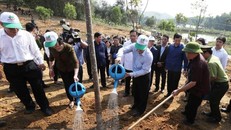 Tổng Bí thư, Chủ tịch nước Nguyễn Phú Trọng tham gia Tết trồng cây đời đời nhớ ơn Bác Hồ tại xã Việt Cường, huyện Trấn Yê