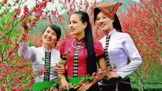 Trang phục truyền thống của con gái dân tộc Thái 