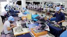 Hợp tác thương mại Việt Nam - Hoa Kỳ ngày càng phát triển 