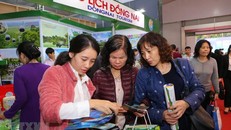 Du khách chọn cho mình những tour du lịch thích hợp tại hội chợ VITM 2019.. (Ảnh: Thành Đạt/TTXVN)