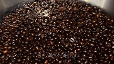 Giá cà phê Robusta xuống mức thấp nhất 10 năm trở lại đây