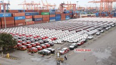 Mỗi ngày Việt Nam nhập khẩu gần 430 xe ô tô - Ảnh H.C