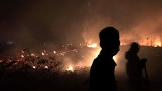 Cháy rừng bùng phát lúc nửa đêm