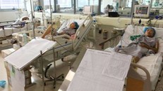 Sức khỏe của 2 bệnh nhân chạy thận ở Nghệ An đang được điều trị tại BV Bạch Mai đã tốt lên.