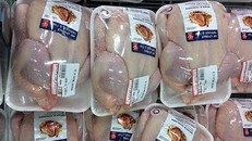 Thịt gà Mỹ NK bán ở thị trường Việt Nam có giá chưa đầy 20 ngàn đồng/kg