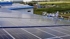 Sức hút của điện mặt trời đối với các nhà đầu tư