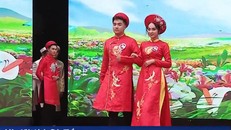 Lễ hội giao lưu văn hóa Việt Nam - Nhật Bản lần thứ 9