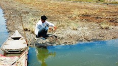 Khai thác và nuôi trồng thủy hải sản trong biến đổi khí hậu vô cùng thách thức (Ảnh: thuysanvietnam.com.vn)