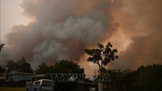 Khói bốc lên từ các đám cháy rừng ở bang New South Wales, Australia, ngày 1/1/2020. Ảnh: AFP/TTXVN