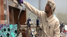 Các nhà khoa học hy vọng sẽ có một loại vắc-xin sẵn sàng tham gia thử nghiệm vào đầu mùa hè.