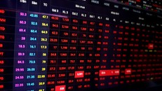 Vững tin vào nội lực nền kinh tế, vào các giải pháp của Chính phủ