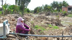 Hạn hán kỷ lục, gần trăm nghìn hộ dân miền Tây đang… khát nước ngọt